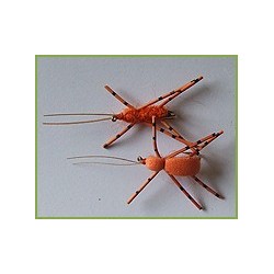 Wholesale Fishing Flies Per Dozen | Premium Trout & Bass Flies. Kenya Fishing Flies.