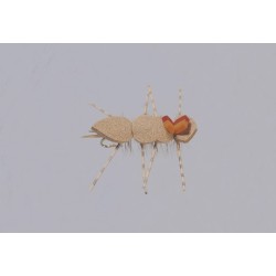 Wholesale Fishing Flies Per Dozen | Premium Trout & Bass Flies. Kenya Fishing Flies.