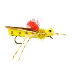 Wholesale Fishing Flies Per Dozen | Premium Trout & Bass Flies. Kenya Fishing Flies.