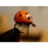 Wholesale Fishing Flies Per Dozen | Premium Trout & Bass Flies. Kenya Fishing Flies.