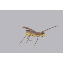 Wholesale Fishing Flies Per Dozen | Premium Trout & Bass Flies. Kenya Fishing Flies.
