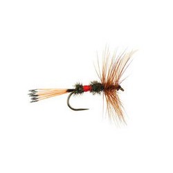 Wholesale Fishing Flies Per Dozen | Premium Trout & Bass Flies. Kenya Fishing Flies.