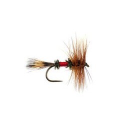 Wholesale Fishing Flies Per Dozen | Premium Trout & Bass Flies. Kenya Fishing Flies.