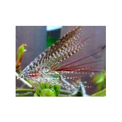 Wholesale Fishing Flies Per Dozen | Premium Trout & Bass Flies. Kenya Fishing Flies.