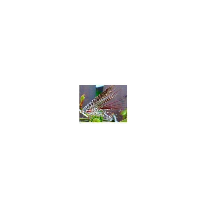 Wholesale Fishing Flies Per Dozen | Premium Trout & Bass Flies. Kenya Fishing Flies.