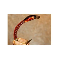 Wholesale Fishing Flies Per Dozen | Premium Trout & Bass Flies. Kenya Fishing Flies.