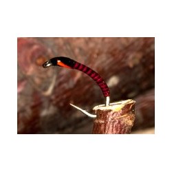 Wholesale Fishing Flies Per Dozen | Premium Trout & Bass Flies. Kenya Fishing Flies.
