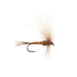 Wholesale Fishing Flies Per Dozen | Premium Trout & Bass Flies. Kenya Fishing Flies.