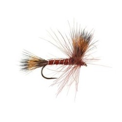 Wholesale Fishing Flies Per Dozen | Premium Trout & Bass Flies. Kenya Fishing Flies.