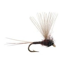 Wholesale Fishing Flies Per Dozen | Premium Trout & Bass Flies. Kenya Fishing Flies.