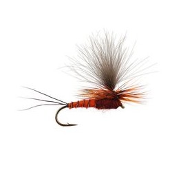 Wholesale Fishing Flies Per Dozen | Premium Trout & Bass Flies. Kenya Fishing Flies.