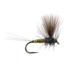Wholesale Fishing Flies Per Dozen | Premium Trout & Bass Flies. Kenya Fishing Flies.