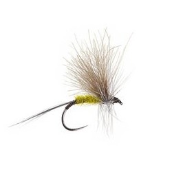 Wholesale Fishing Flies Per Dozen | Premium Trout & Bass Flies. Kenya Fishing Flies.