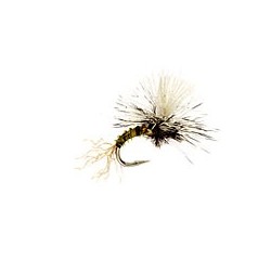 Wholesale Fishing Flies Per Dozen | Premium Trout & Bass Flies. Kenya Fishing Flies.
