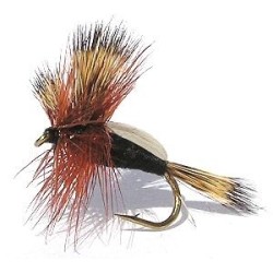Wholesale Fishing Flies Per Dozen | Premium Trout & Bass Flies. Kenya Fishing Flies.