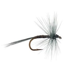 Wholesale Fishing Flies Per Dozen | Premium Trout & Bass Flies. Kenya Fishing Flies.