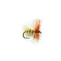 Wholesale Fishing Flies Per Dozen | Premium Trout & Bass Flies. Kenya Fishing Flies.