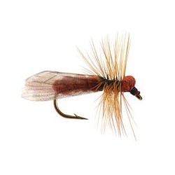 Wholesale Fishing Flies Per Dozen | Premium Trout & Bass Flies. Kenya Fishing Flies.