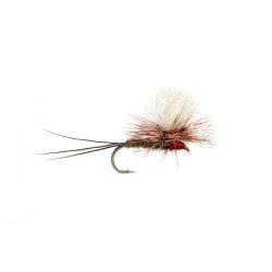 Wholesale Fishing Flies Per Dozen | Premium Trout & Bass Flies. Kenya Fishing Flies.