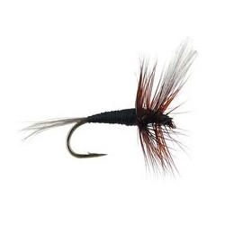 Wholesale Fishing Flies Per Dozen | Premium Trout & Bass Flies. Kenya Fishing Flies.