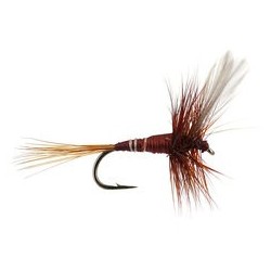 Wholesale Fishing Flies Per Dozen | Premium Trout & Bass Flies. Kenya Fishing Flies.