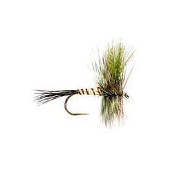Wholesale Fishing Flies Per Dozen | Premium Trout & Bass Flies. Kenya Fishing Flies.