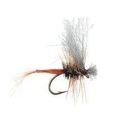 Wholesale Fishing Flies Per Dozen | Premium Trout & Bass Flies. Kenya Fishing Flies.