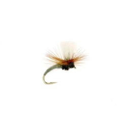 Wholesale Fishing Flies Per Dozen | Premium Trout & Bass Flies. Kenya Fishing Flies.