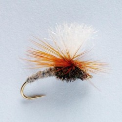 Wholesale Fishing Flies Per Dozen | Premium Trout & Bass Flies. Kenya Fishing Flies.
