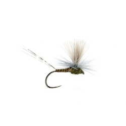 Wholesale Fishing Flies Per Dozen | Premium Trout & Bass Flies. Kenya Fishing Flies.