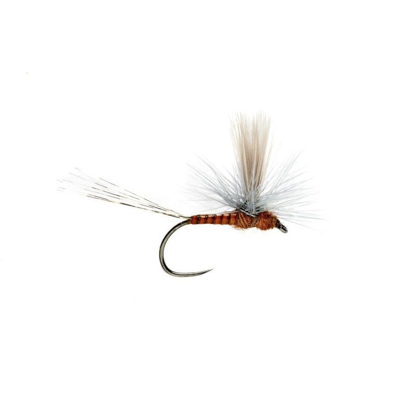 Wholesale Fishing Flies Per Dozen | Premium Trout & Bass Flies. Kenya Fishing Flies.