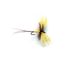 Wholesale Fishing Flies Per Dozen | Premium Trout & Bass Flies. Kenya Fishing Flies.