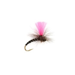 Wholesale Fishing Flies Per Dozen | Premium Trout & Bass Flies. Kenya Fishing Flies.