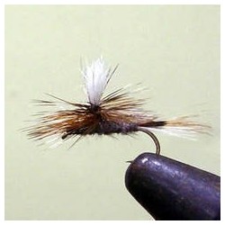 Wholesale Fishing Flies Per Dozen | Premium Trout & Bass Flies. Kenya Fishing Flies.