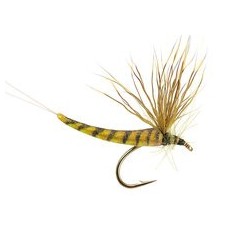 Wholesale Fishing Flies Per Dozen | Premium Trout & Bass Flies. Kenya Fishing Flies.