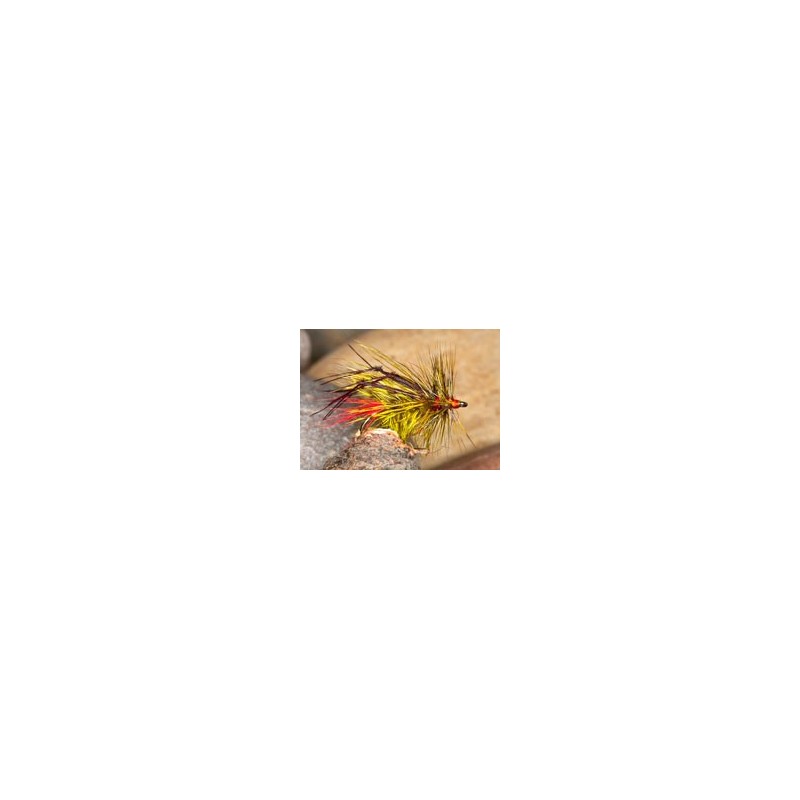Wholesale Fishing Flies Per Dozen | Premium Trout & Bass Flies. Kenya Fishing Flies.