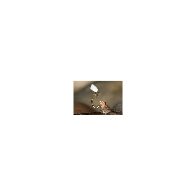Wholesale Fishing Flies Per Dozen | Premium Trout & Bass Flies. Kenya Fishing Flies.