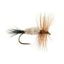 Wholesale Fishing Flies Per Dozen | Premium Trout & Bass Flies. Kenya Fishing Flies.