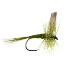 Wholesale Fishing Flies Per Dozen | Premium Trout & Bass Flies. Kenya Fishing Flies.