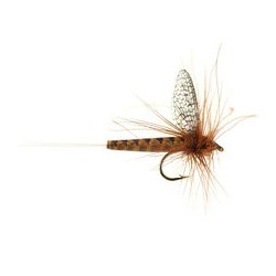 Wholesale Fishing Flies Per Dozen | Premium Trout & Bass Flies. Kenya Fishing Flies.