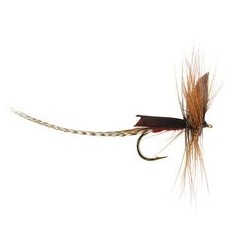 Wholesale Fishing Flies Per Dozen | Premium Trout & Bass Flies. Kenya Fishing Flies.