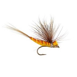 Wholesale Fishing Flies Per Dozen | Premium Trout & Bass Flies. Kenya Fishing Flies.