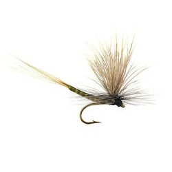 Wholesale Fishing Flies Per Dozen | Premium Trout & Bass Flies. Kenya Fishing Flies.