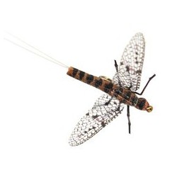Wholesale Fishing Flies Per Dozen | Premium Trout & Bass Flies. Kenya Fishing Flies.