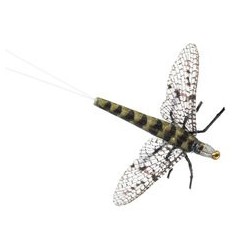 Wholesale Fishing Flies Per Dozen | Premium Trout & Bass Flies. Kenya Fishing Flies.