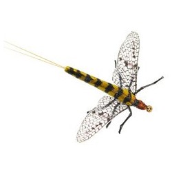 Wholesale Fishing Flies Per Dozen | Premium Trout & Bass Flies. Kenya Fishing Flies.