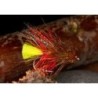 Wholesale Fishing Flies Per Dozen | Premium Trout & Bass Flies. Kenya Fishing Flies.
