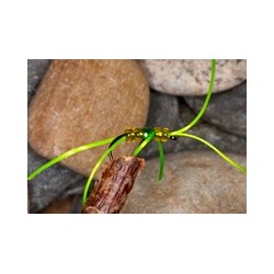 Wholesale Fishing Flies Per Dozen | Premium Trout & Bass Flies. Kenya Fishing Flies.