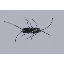 Wholesale Fishing Flies Per Dozen | Premium Trout & Bass Flies. Kenya Fishing Flies.