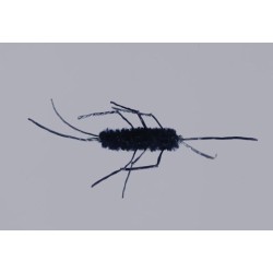 Wholesale Fishing Flies Per Dozen | Premium Trout & Bass Flies. Kenya Fishing Flies.